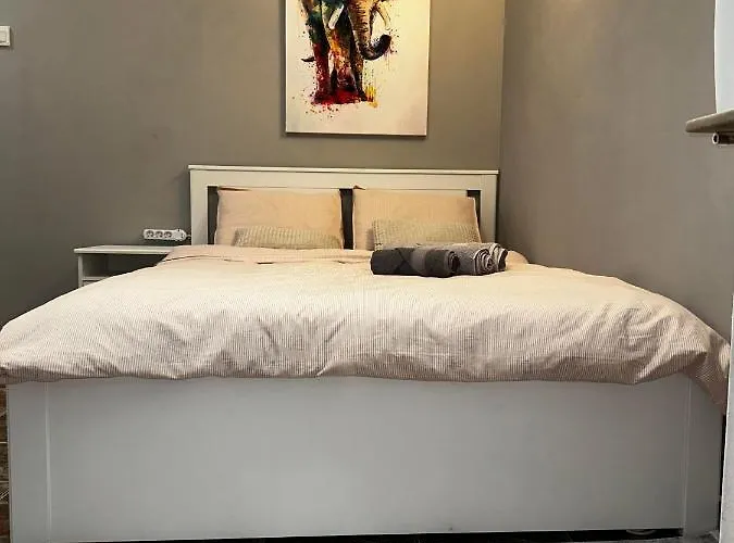 アパート One Decebal